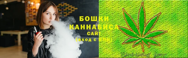 молекула духа Аркадак