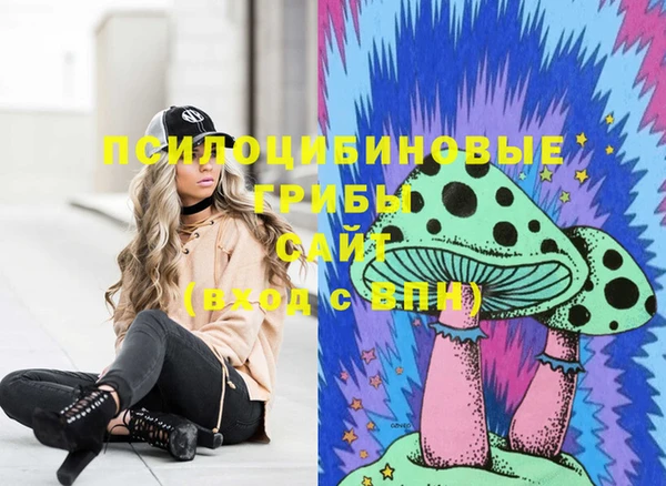 синтетический гашиш Новозыбков