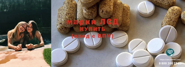 молекула духа Аркадак