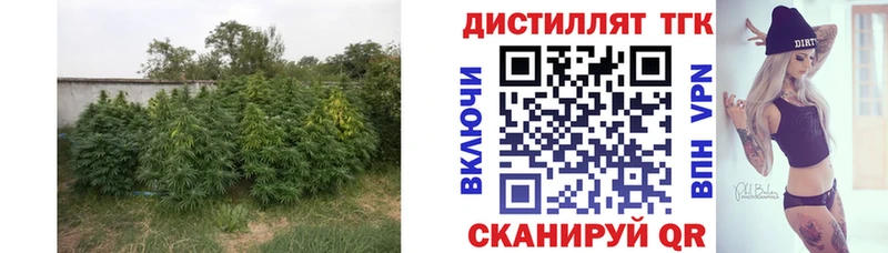 что такое   Бабаево  ТГК гашишное масло 
