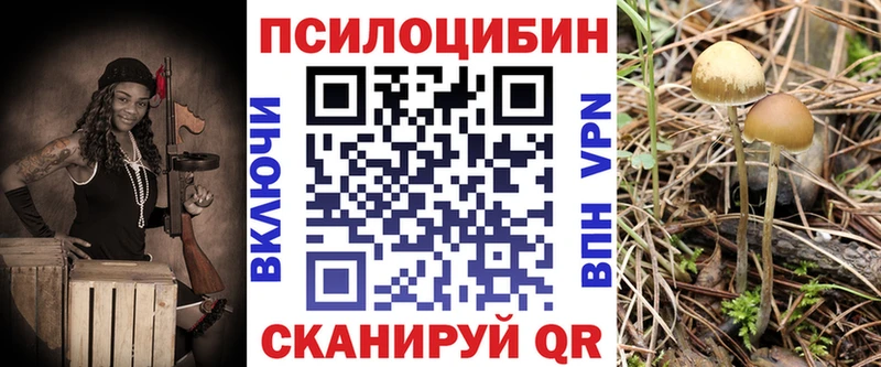 Галлюциногенные грибы Psilocybine cubensis  МЕГА рабочий сайт  Бабаево 